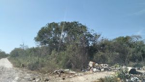 TERRENO EN VENTA CARRETERA MÉRIDA A PROGRESO YUCATÁN