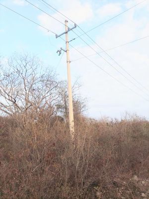 Terreno de 20 Hectáreas en la zona industrial de Hunucmá,Yucatán.