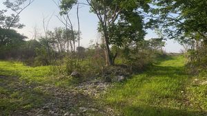 TERRENO EN VENTA  EN CARRETERA, SALIDA CAMPECHE FOLIO MTV-429