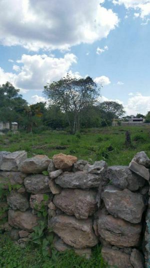 TERRENO EN VENTA EN CONKA YUCATAN FOLIO MTV-351