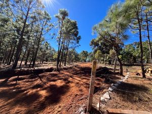 Terreno en Tapalpa a 10 minutos del Pueblo