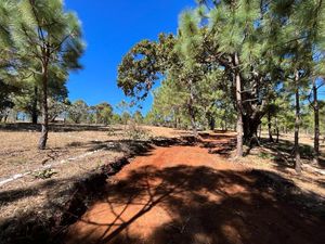 Terreno en Venta en Tapalpa a 10 minutos del Pueblo