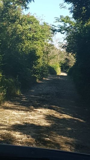 TERRENOS EN VENTA EN HOCABA, MERIDA, YUCATAN 42HAS