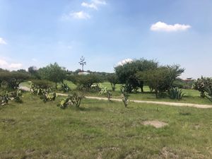 TERRENO EN VENTA EN AMANALI