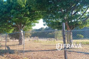 TERRENO EN VENTA EN EL BAJIO - SAN JUAN DE OCOTAN