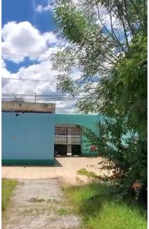 VENTA CASONA COMERCIAL AV PANAMERICANA EL SAUZ PEDRO ESCOBEDO CCV240416-JA