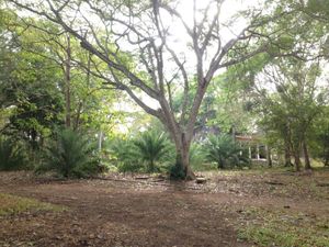 Hacienda en venta   Santa Isabel Izamal - tepakan