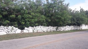 Terreno en venta Hunucmá, Yucatán