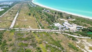 Terreno en venta en Sisal, Yucatán  a 200 m del mar | Entrega Inmediata