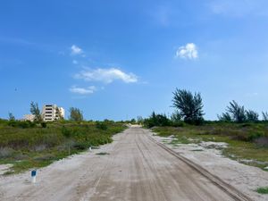 Terreno en venta en Sisal, Yucatán  a 200 m del mar | Entrega Inmediata