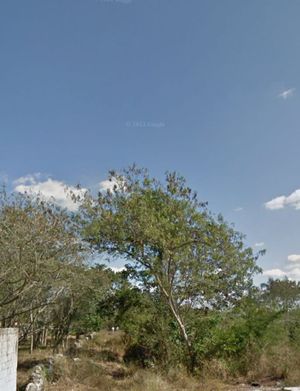 Excelente Terreno en Venta 4200 m2. Merida, Yucatan