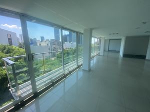 Oficina Acondicionada en Renta 340 m2 en Cuauhtemoc.