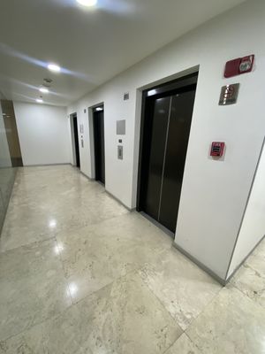 Oficina Acondicionada en Renta de 697 m2 en Insurgentes Sur