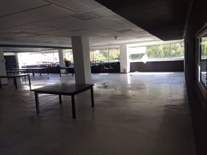 Oficina Acondicionada en Renta de 200 m2 en col. Juárez