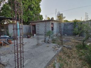 Terreno en Venta Colonia San Francisco, en Ciudad Victoria, Tamaulipas