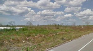 Terreno suburbano entre el Tren Maya y la carretera Mérida-Campeche
