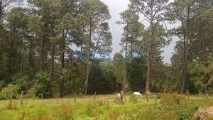 LOTES DESDE 1000 M2 A ESCASOS MINUTOS DE AVANDARO