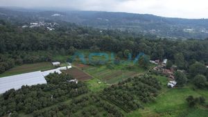 PARCELA PLANA RODEADA DE BOSQUE EN PIPIOL