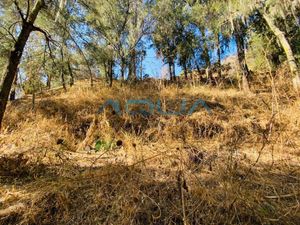 TERRENO EN VENTA, LA PEÑA