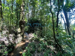 TERRENO EN VENTA, LOS ALAMOS