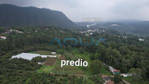 PARCELA PLANA RODEADA DE BOSQUE EN PIPIOL