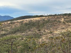 Terreno en venta en jocotepec