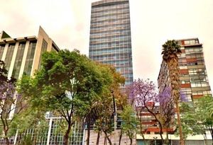 Oficina en Renta en Torre Índigo, Av. Reforma