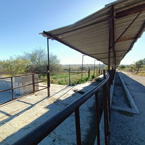 Granja en venta ubicada en  Granjas Fátima