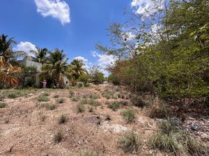 Terreno en Venta, Xcanatun.