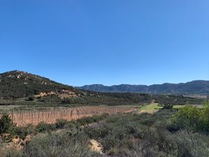 VENTA DE TERRENOS DE 2,500 M2 EN VALLE DE GUADALUPE CON PROYECTO