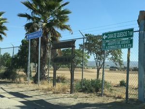 RENTA DE 29 HECTAREAS PARA SIEMBRA EN EL VALLE DE OJOS NEGROS