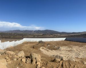 VENTA DE TERRENOS DE 2,500 M2 EN VALLE DE GUADALUPE CON PROYECTO