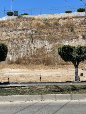 RENTA DE TERRENO COMERCIAL EN BOULEVARD PACIFICO