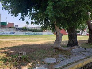 Casa en Renta en Villa San Alejandro Puebla