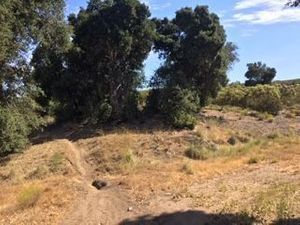 se vende terreno en tecate  cerca de hacienda santa veronica