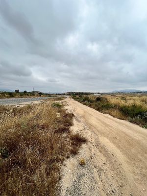 Terreno en Renta VALLE DE GUADALUPE