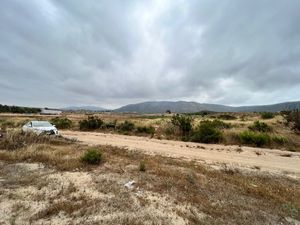 Terreno en Renta VALLE DE GUADALUPE