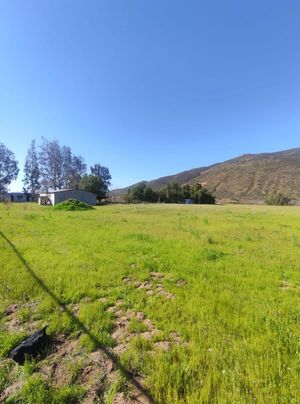 Terreno en Valle de Guadalupe