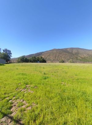 Terreno en el valle de Guadalupe