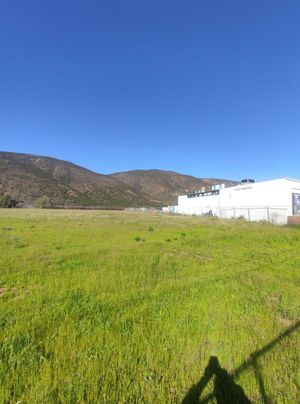 Terreno en Valle de Guadalupe