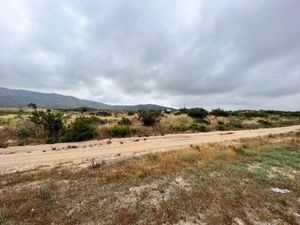 Terreno en Renta VALLE DE GUADALUPE