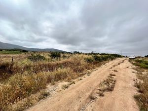 Terreno en Renta VALLE DE GUADALUPE