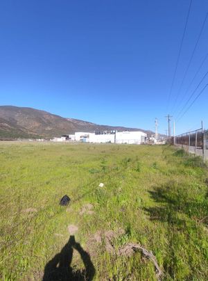 Terreno en Valle de Guadalupe