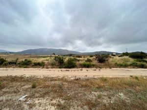 Terreno en Renta VALLE DE GUADALUPE