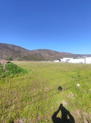 Terreno en Valle de Guadalupe