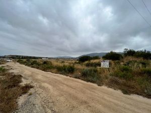 Terreno en Renta VALLE DE GUADALUPE