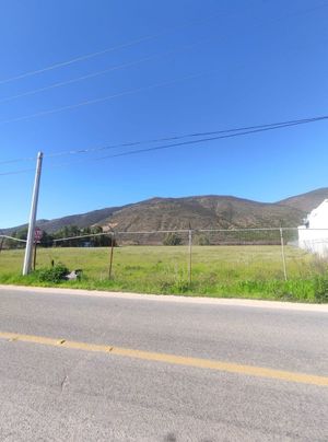 Terreno en el valle de Guadalupe