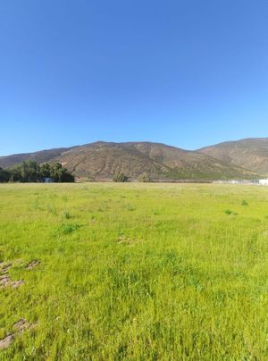 Terreno en el valle de Guadalupe