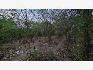 Terreno en Venta en Teran Tuxtla Gutiérrez