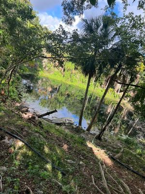 VENTA DE TERRENO CON CENOTE A 5 KM DEL PUEBLO BUCZOTZ